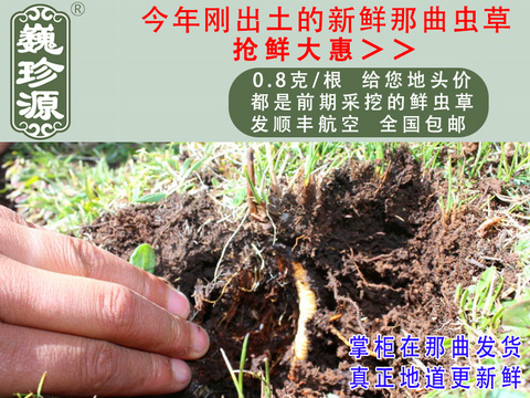 ���r�x�������r���x�Ĳ������r�x���^����Ρ��Դ0.8��/�����r�����x���^�ݣ������ڳ�����Ұ���������r�x��